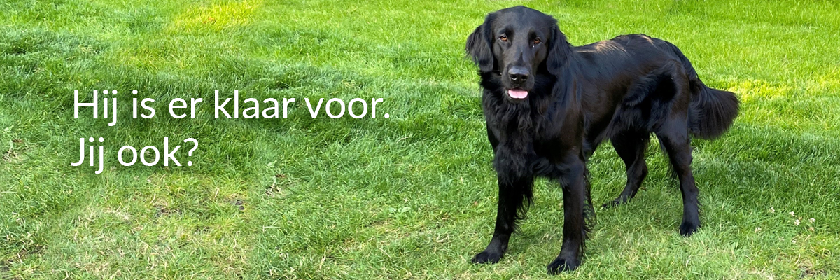 Hij is er klaar voor. Jij ook?
